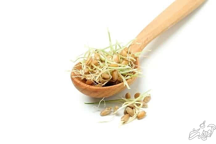 خاصیت جوانه گندم چیست؟